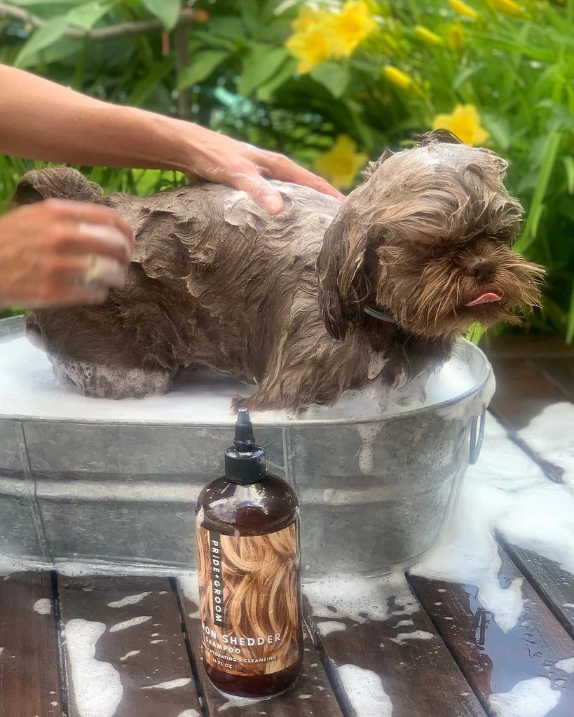 商品Pride + Groom|16 oz. The Non-Shedder Dog Shampoo,价格¥249,第3张图片详细描述