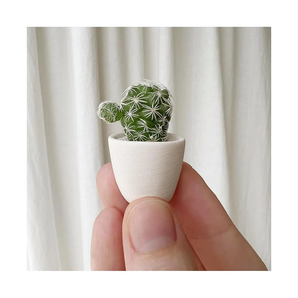商品Tierra Sol Studio|Lino Mini Cactus Kit,价格¥165,第2张图片详细描述