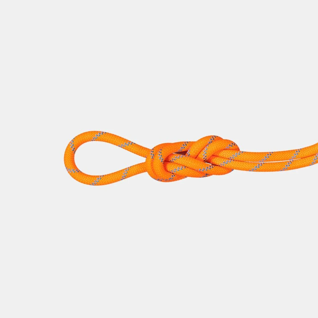 商品Mammut|8.7 Alpine Sender Dry Rope,价格¥1702,第1张图片