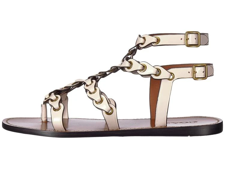 商品Coach|Gladiator Strap Sandal,价格¥1153,第4张图片详细描述