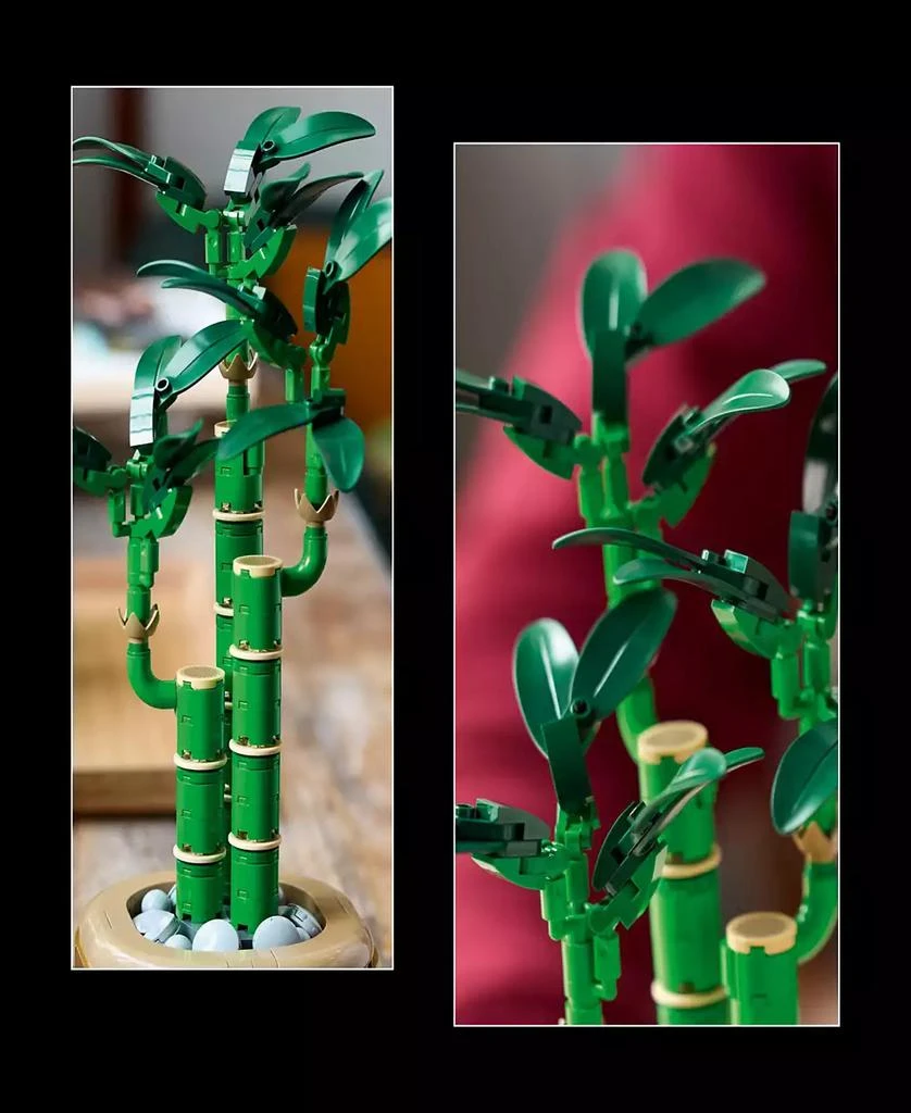 商品LEGO|Botanicals Lucky Bamboo Building Set 10344, 325 Pieces,价格¥189,第2张图片详细描述