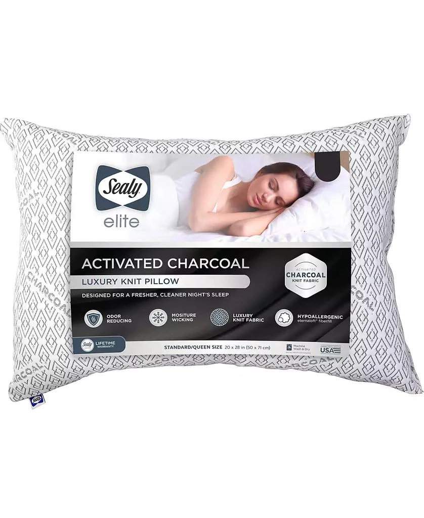 商品Sealy|Charcoal Pillow,价格¥273,第2张图片详细描述