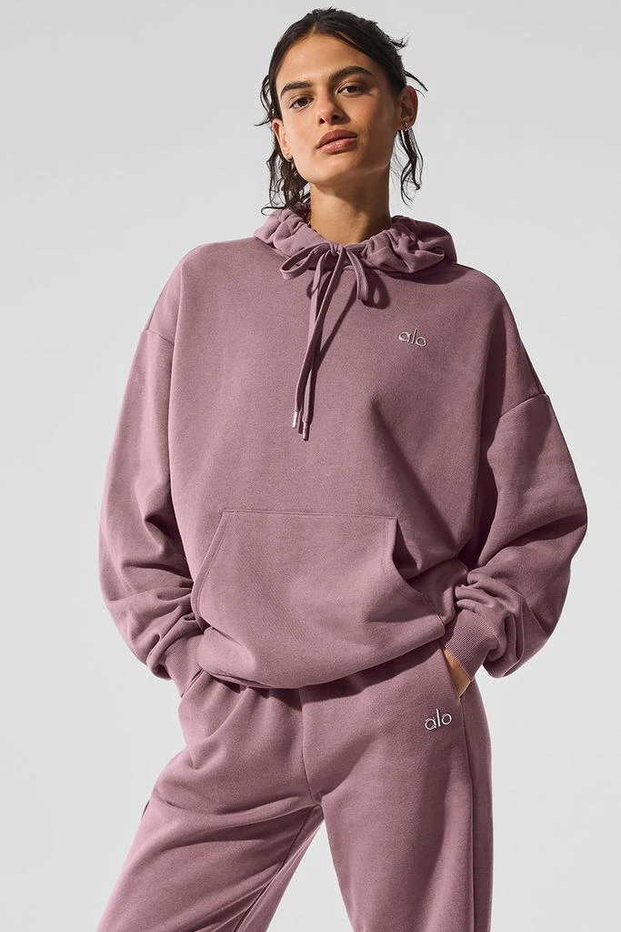 商品Alo|Accolade Hoodie - Smoky Quartz,价格¥1057,第1张图片
