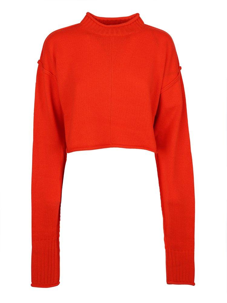 Sportmax Crewneck Long-Sleeved Jumper商品第1张图片规格展示