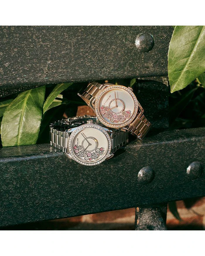 商品Coach|Preston Tea Rose Watch, 36mm,价格¥2216,第4张图片详细描述