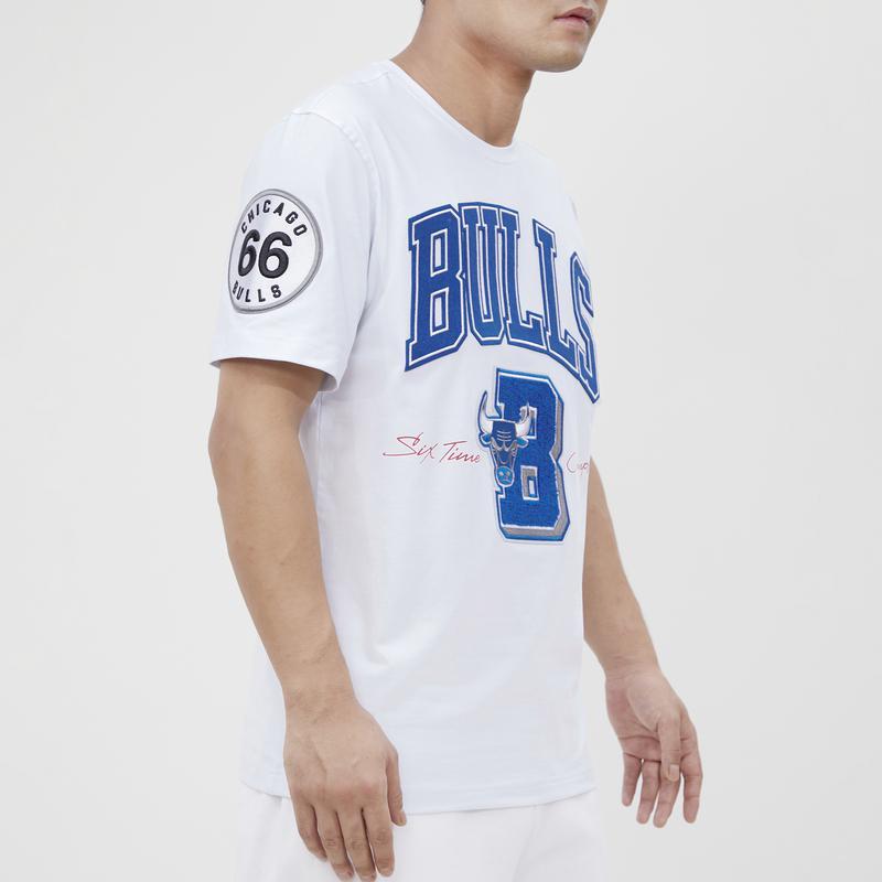 商品Pro Standard|Pro Standard Bulls T-Shirt - Men's,价格¥394-¥609,第5张图片详细描述