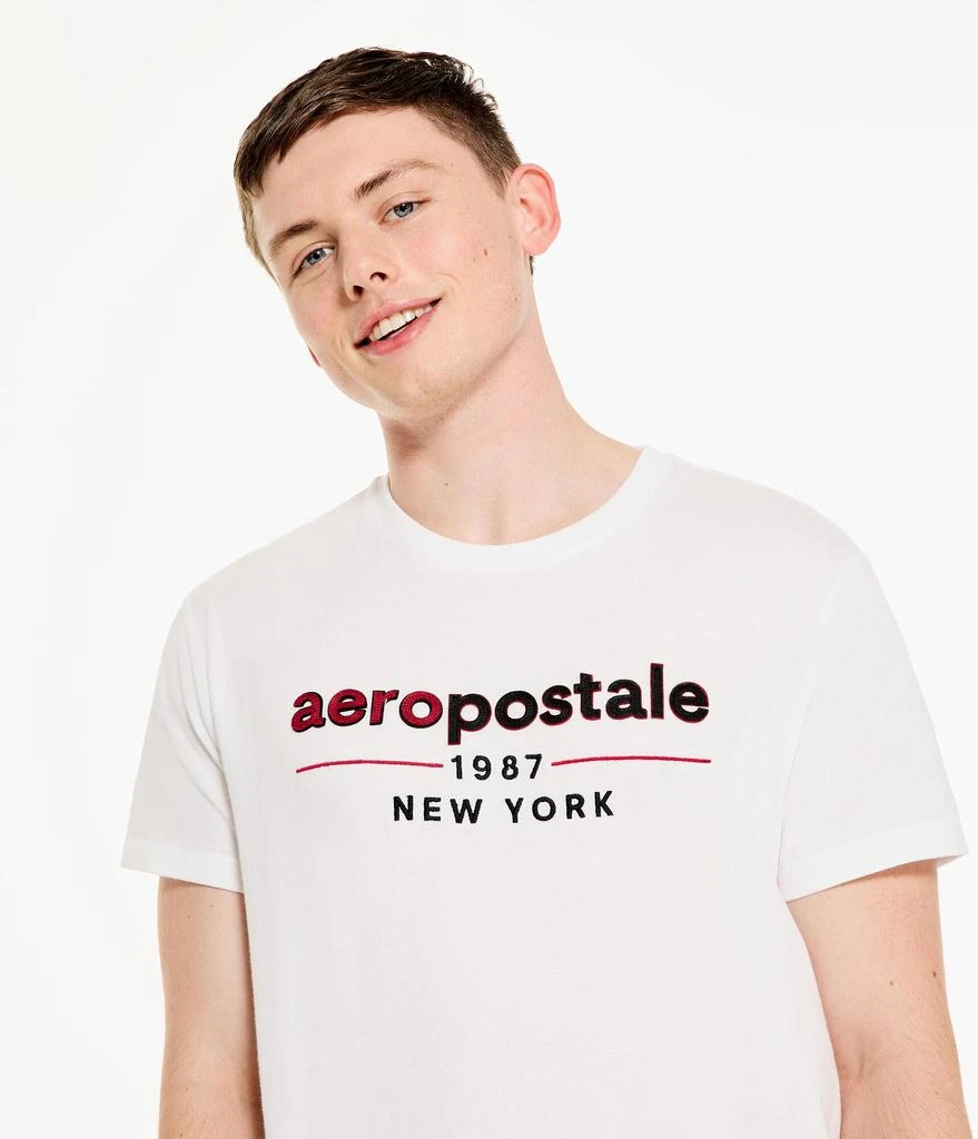 商品Aeropostale|Aeropostale Men's 1987 Logo Appliquac Graphic Tee,价格¥56,第1张图片