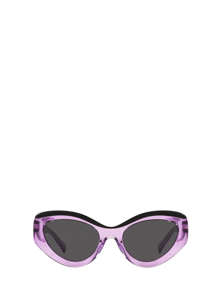 商品ALAIN MIKLI|ALAIN MIKLI Sunglasses,价格¥2226,第1张图片
