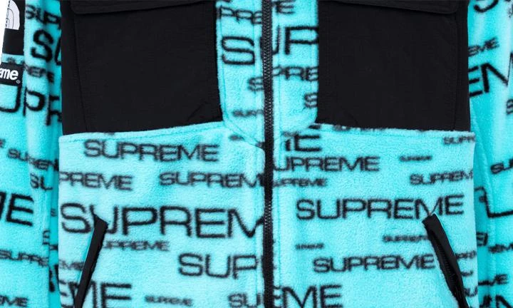 商品Supreme|Supreme TNF Steep Tech Fleece Jacket,价格¥3475-¥3662,第3张图片详细描述