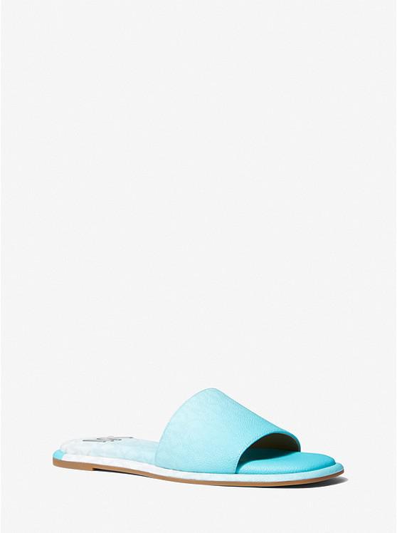 Hayworth Ombré Logo Slide Sandal商品第1张图片规格展示