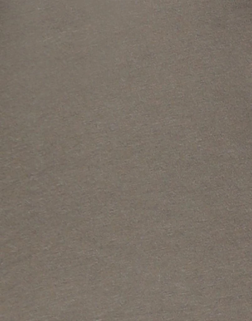 商品MAJESTIC FILATURES|T-shirt,价格¥584,第4张图片详细描述
