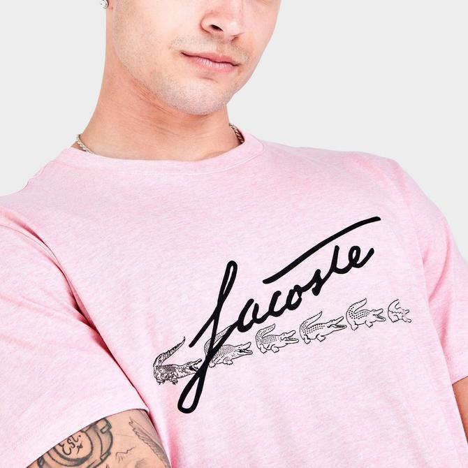 Men's Lacoste Script Logo T-Shirt商品第5张图片规格展示
