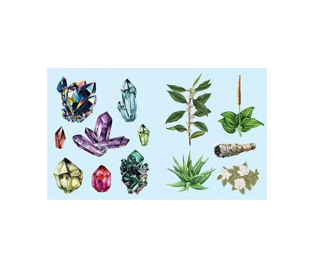 商品Barnes & Noble|Sticker Studio - Apothecary - A Sticker Gallery for Modern Mystics by Chloe Standish,价格¥187,第4张图片详细描述
