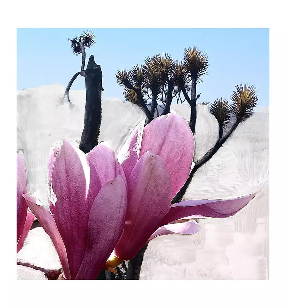 商品BYREDO|2-Pc. Le Corps Mojave Ghost Body Wash and  Body Lotion Gift Set,价格¥957,第3张图片详细描述