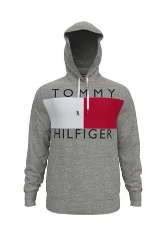 商品Tommy Hilfiger|Hilfiger Fleece Logo Graphic Hoodie,价格¥747,第1张图片