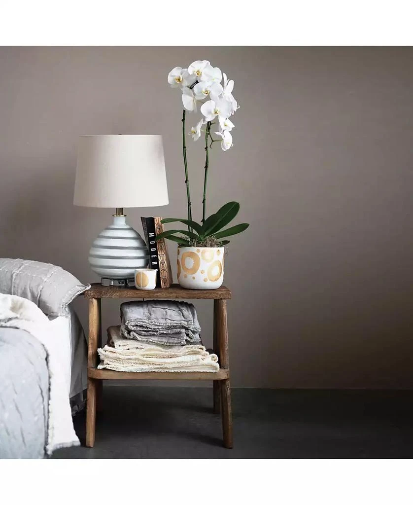 商品Storied Home|Hand-Painted Stoneware Planter with Gold-Tone Design, Holds 5" Pot,价格¥236,第4张图片详细描述