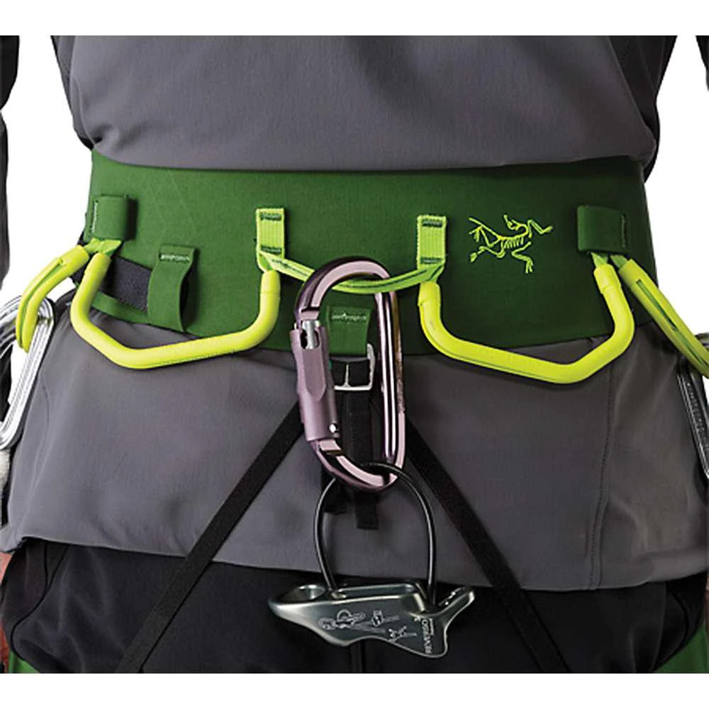 商品Arc'teryx|Arcteryx Men's FL-365 Harness,价格¥1021,第5张图片详细描述