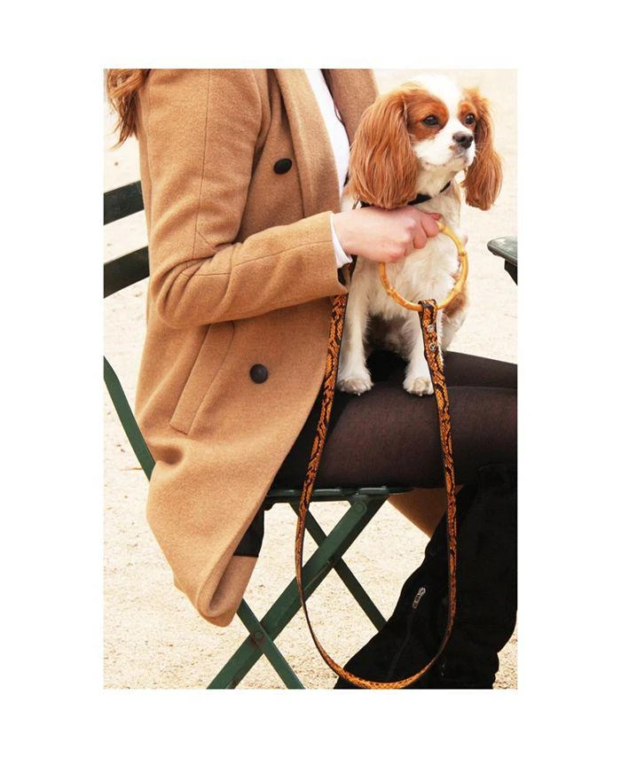 商品Shaya Pets|Long Sasha Leather Dog Leash with Bamboo Handle,价格¥1090,第3张图片详细描述