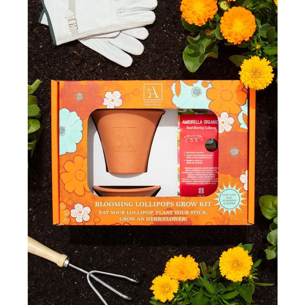 商品Amborella Organics|Garden Lover's Grow Kit with Handmade Terra Cotta Pot and Saucer Gift Set, 8 Seed-Bearing Lollipops,价格¥329,第2张图片详细描述