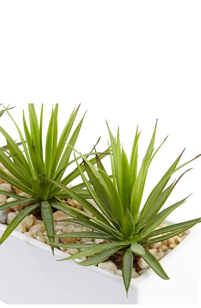 商品NEARLY NATURAL|Mini Agave Artificial Plant in Rectangular Ceramic,价格¥611,第4张图片详细描述