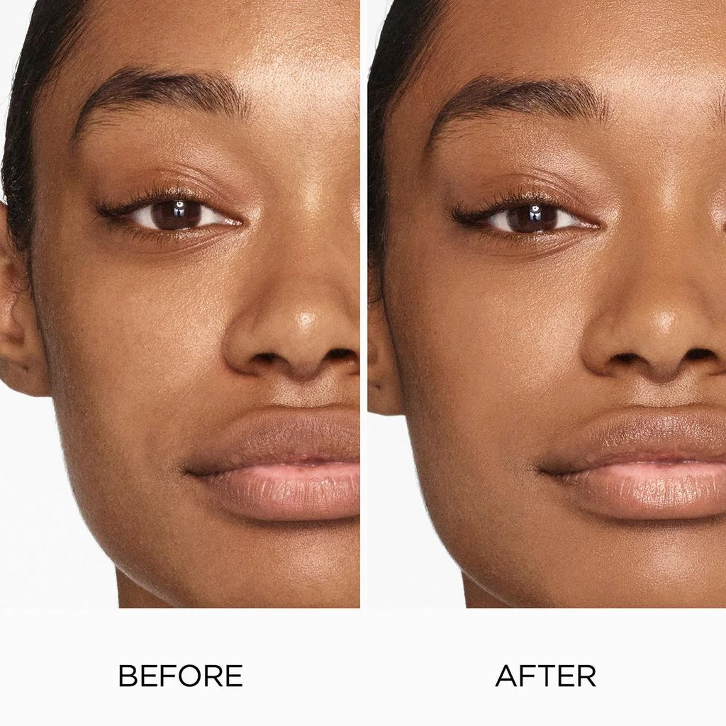 Tinted Moisturizer Natural Skin Perfector SPF 30 商品
