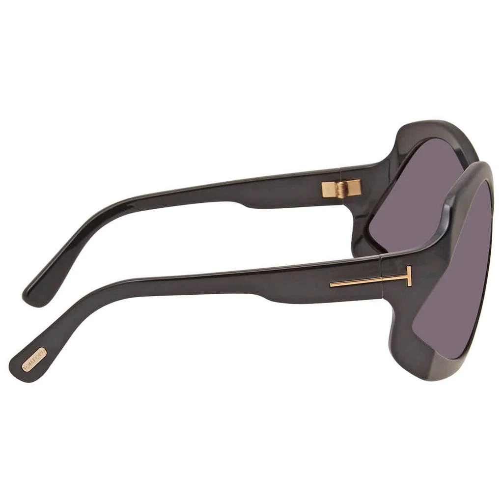 商品Tom Ford|Cheyenne Smoke Oversized Ladies Sunglasses FT0903 01A 68,价格¥1049,第3张图片详细描述