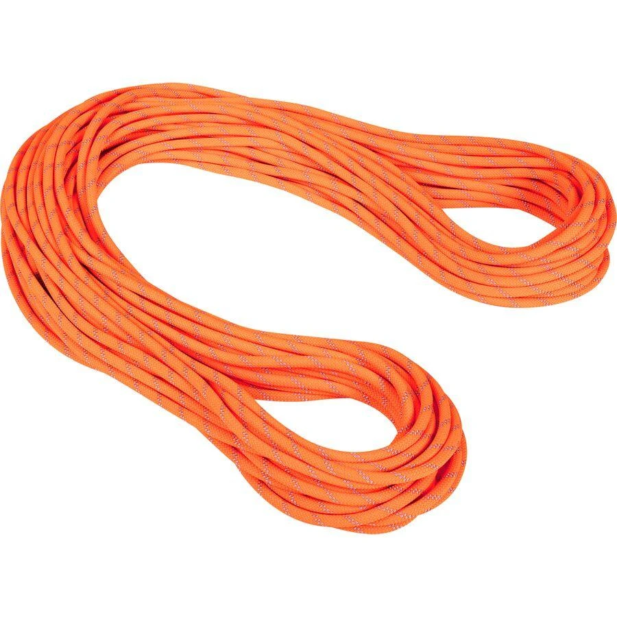 商品Mammut|Alpine Dry Rope - 9.5mm,价格¥2090,第1张图片