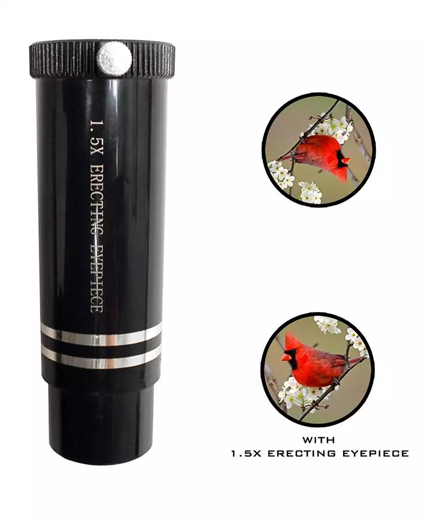 商品Cosmo Brands|Galileo 800 X 80mm Astronomical Telescope and Zoom Eyepiece,价格¥2085,第5张图片详细描述