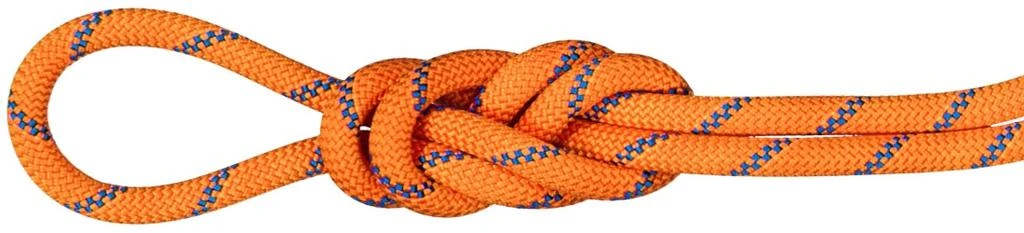 商品Mammut|Mammut 9.0 Alpine Sender Dry Rope,价格¥2252,第1张图片