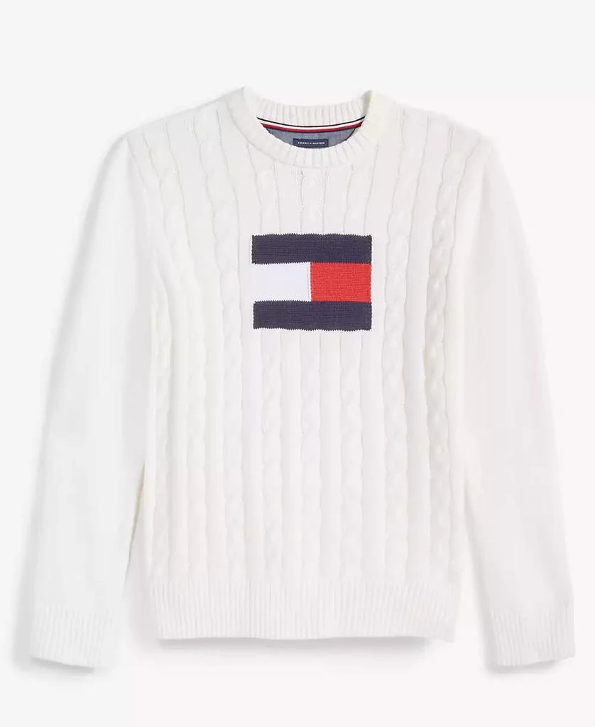 商品Tommy Hilfiger|Toddler and Little Boys Flag Crew Sweater,价格¥158,第2张图片详细描述