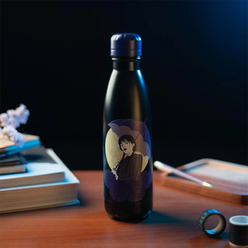 商品ERIK|Wednesday 500Ml Hot&Cold Metal Bottle,价格¥252,第4张图片详细描述