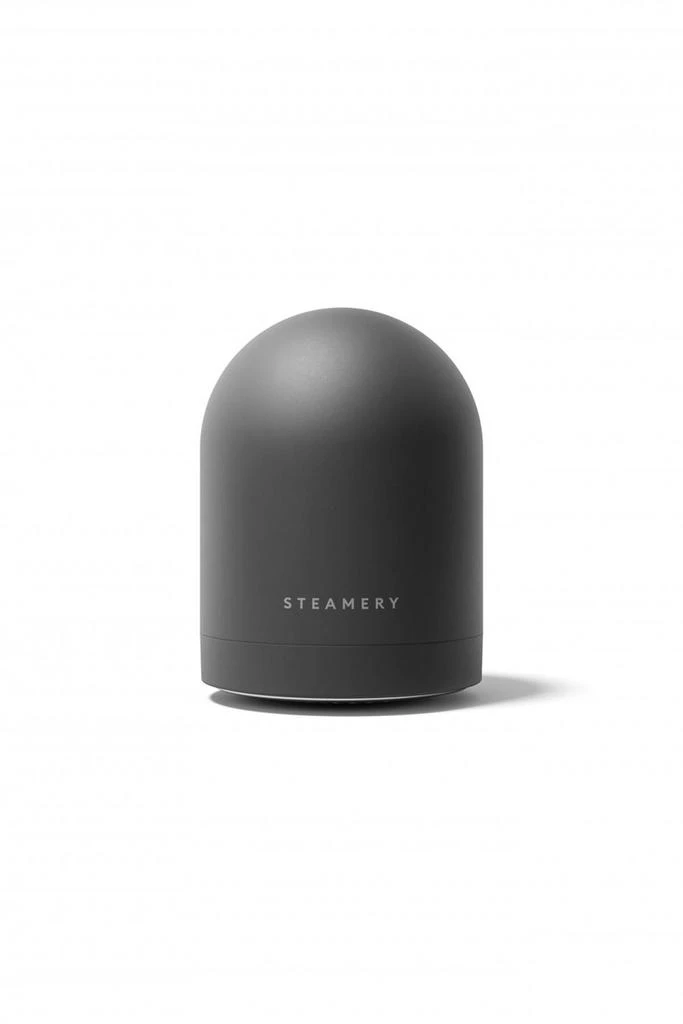 商品STEAMERY|Steamery pilo 2 fabric shaver,价格¥402,第1张图片