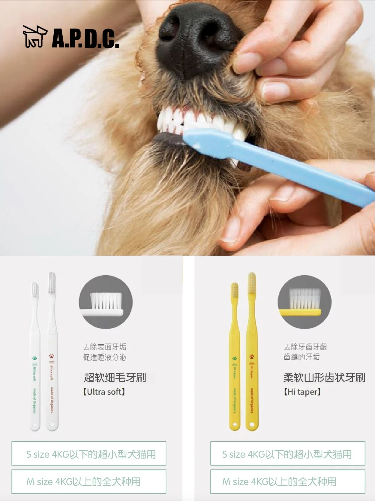 超软毛护龈洁齿宠物牙刷（猫犬用） 商品