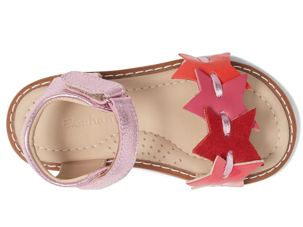 商品Elephantito|Stars Sandal (Toddler/Little Kid/Big Kid),价格¥546,第2张图片详细描述