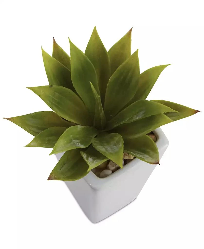 商品NEARLY NATURAL|3-Pc. Mini Agave Artificial Plant Set in White Planters,价格¥504,第3张图片详细描述