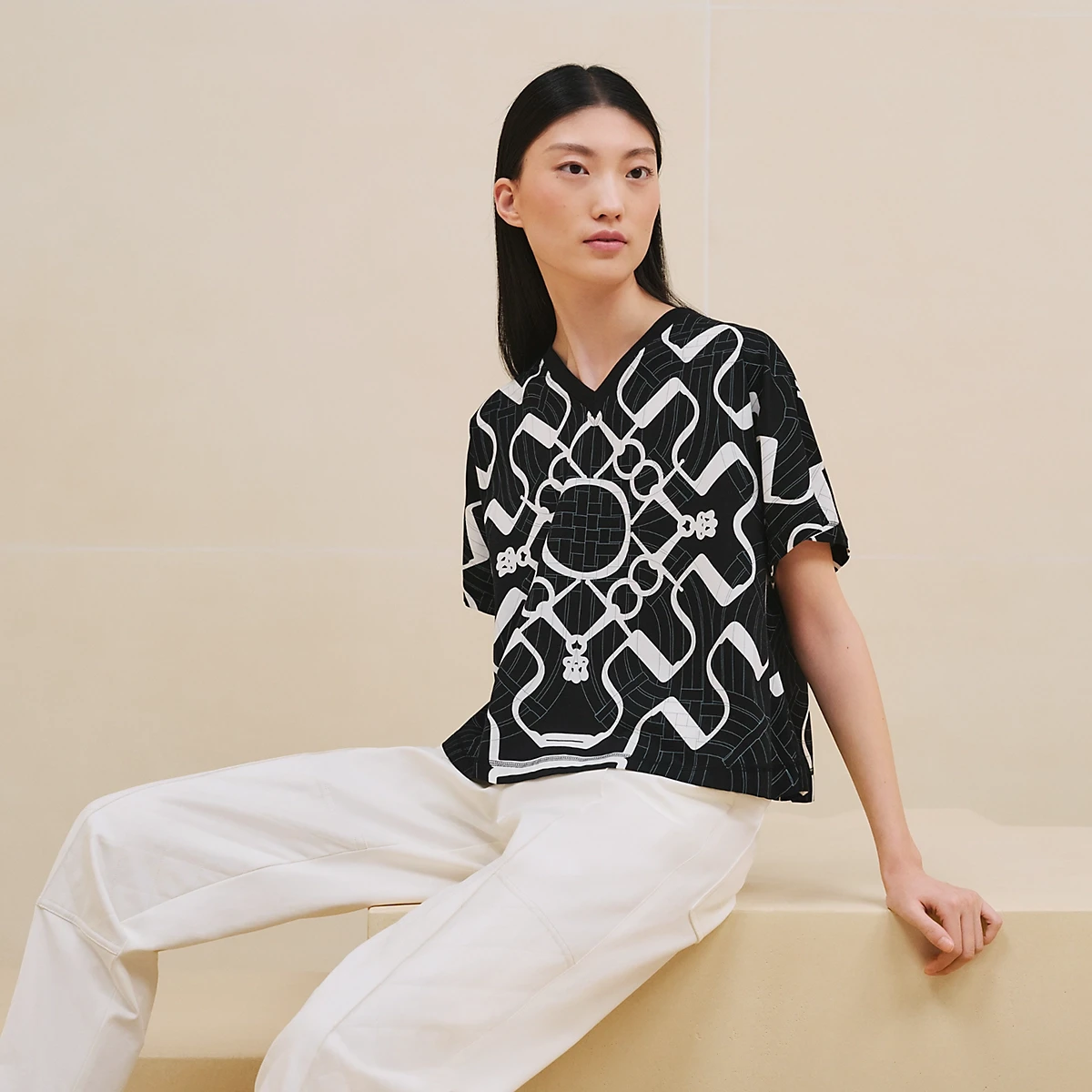 【预售】 爱马仕 24秋冬 女士 短袖T恤 T-shirt col V imprimé « Mors à Jouets Détouré Tatoo » H4H4630DD02 商品