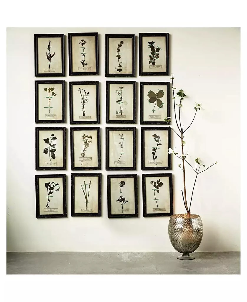 商品3R Studio|Wood Framed Wall Plaques with Dried Flower Images, Multicolor, Set of 16,价格¥4126,第3张图片详细描述