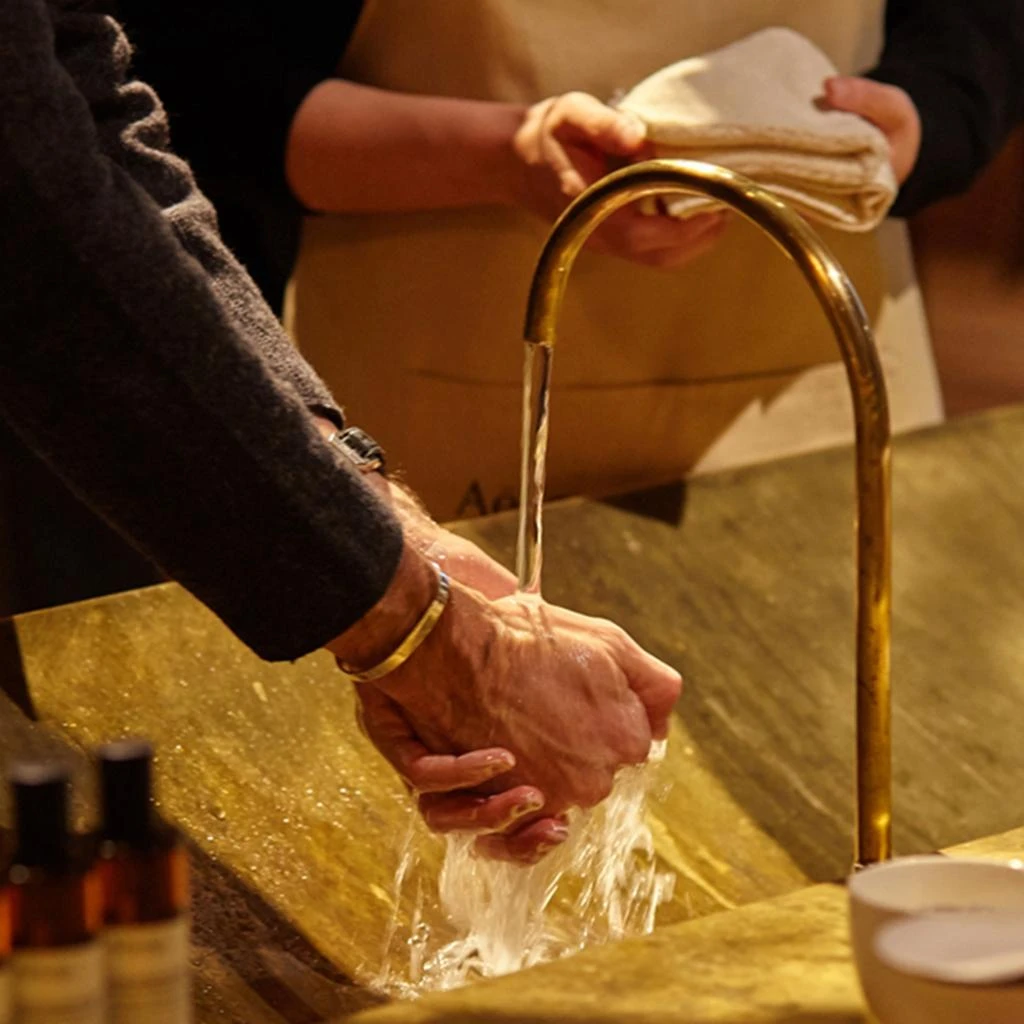 商品Aesop|Aesop Reverence Aromatique Hand Wash,价格¥359,第3张图片详细描述