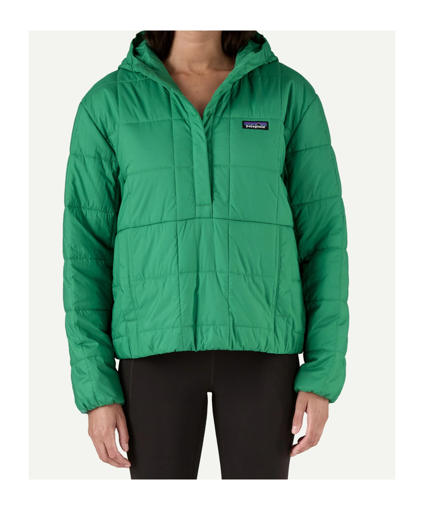 商品【商品预售7天】 Patagonia|Patagonia 女士夹克 20570HTLG 绿色,价格¥2198,第3张图片详细描述