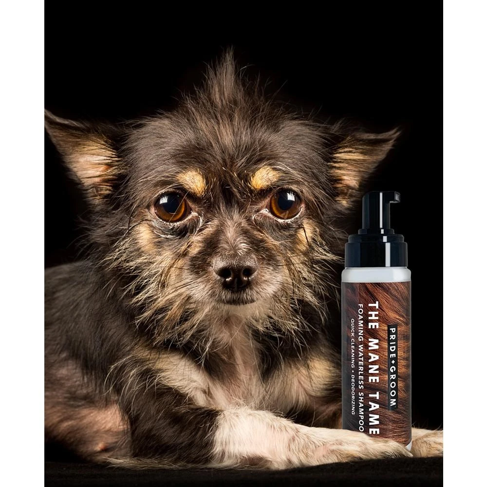 商品Pride+Groom|"The Mane" Tame Waterless Pet Shampoo, 16-oz.,价格¥150,第2张图片详细描述