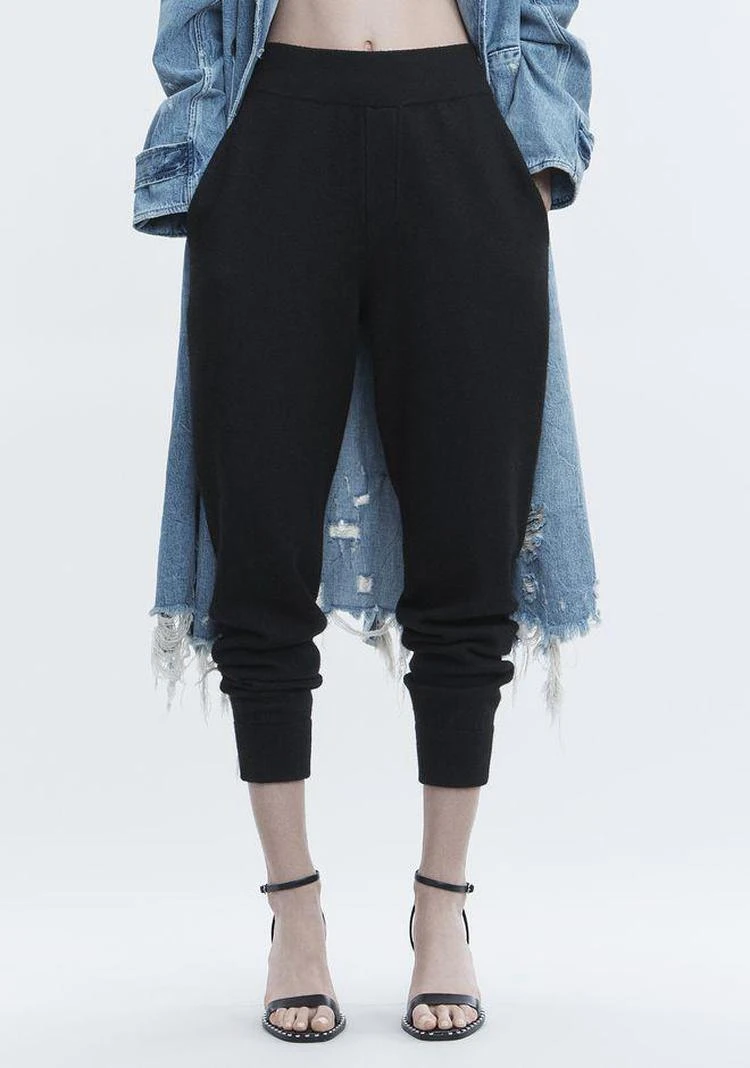 商品Alexander Wang|BOILED WOOL SWEATPANTS,价格¥1054,第2张图片详细描述