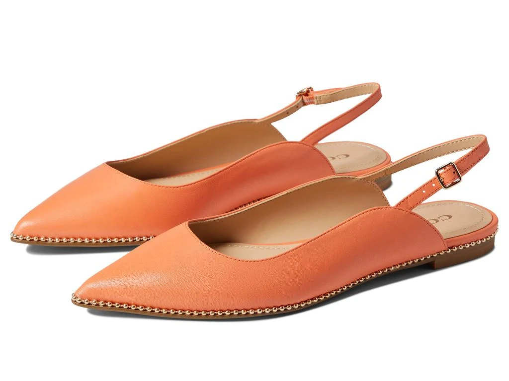 商品Coach|Vae Skimmer,价格¥796,第1张图片