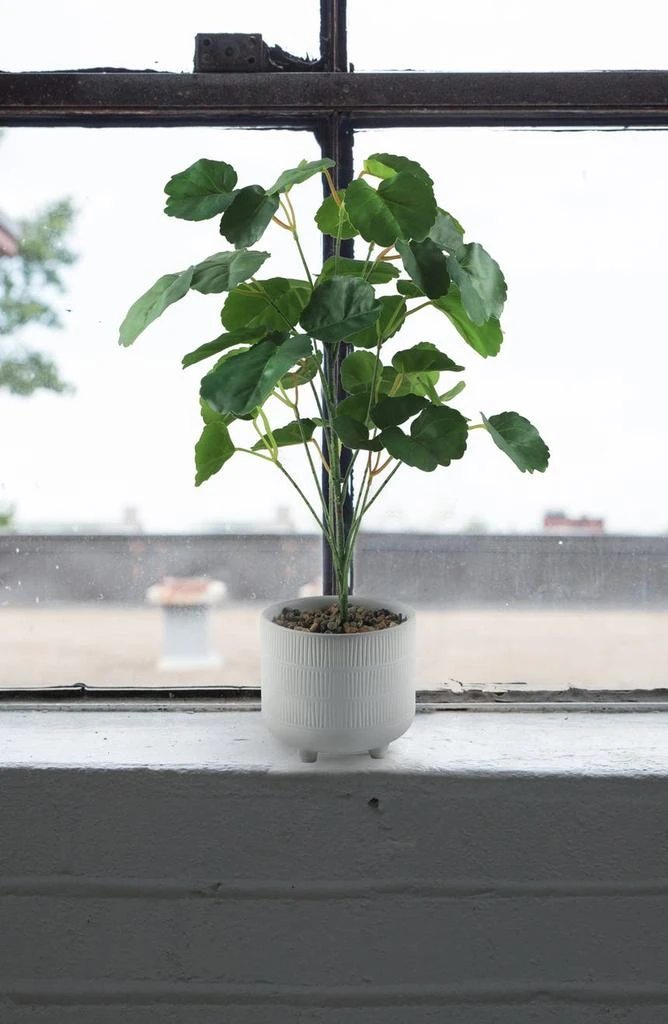 商品FLORA BUNDA|17.5" Pilea Faux Plant,价格¥592,第3张图片详细描述