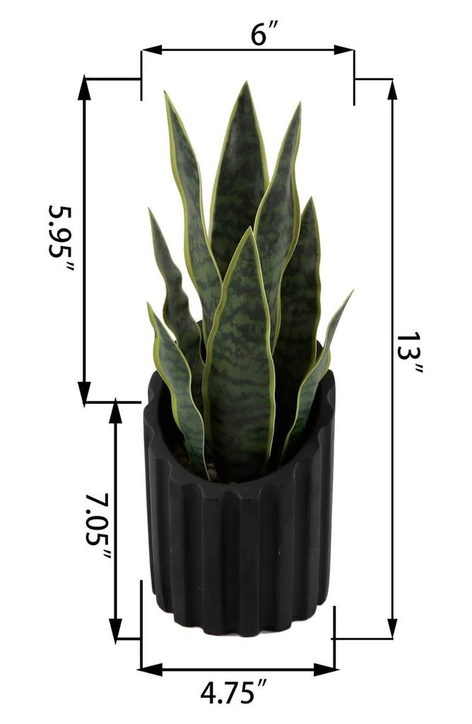 商品FLORA BUNDA|Snake Plant in Cement Planter,价格¥393,第2张图片详细描述