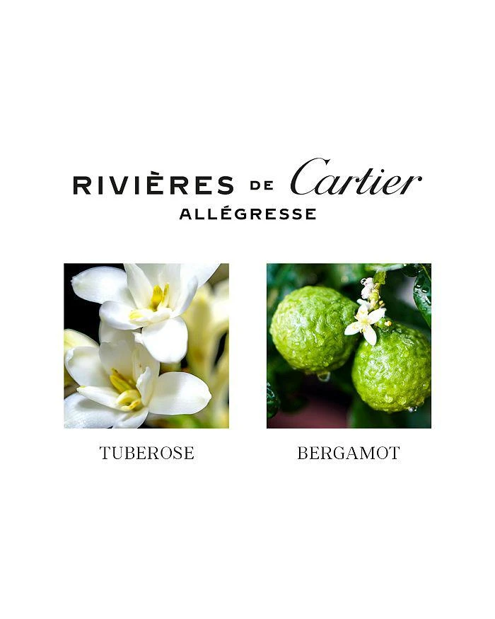 商品Cartier|Allégresse Eau de Toilette,价格¥869,第2张图片详细描述