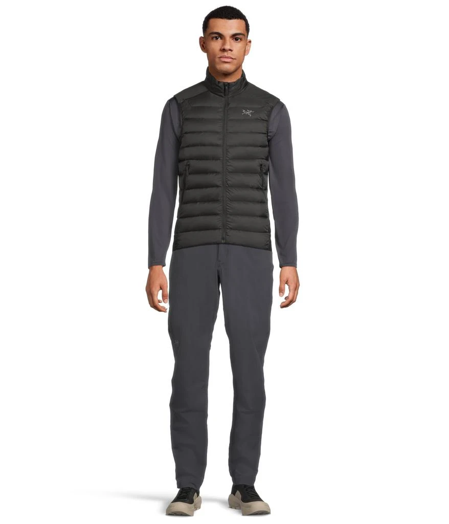 商品Arc'teryx|Cerium Vest,价格¥2422,第5张图片详细描述