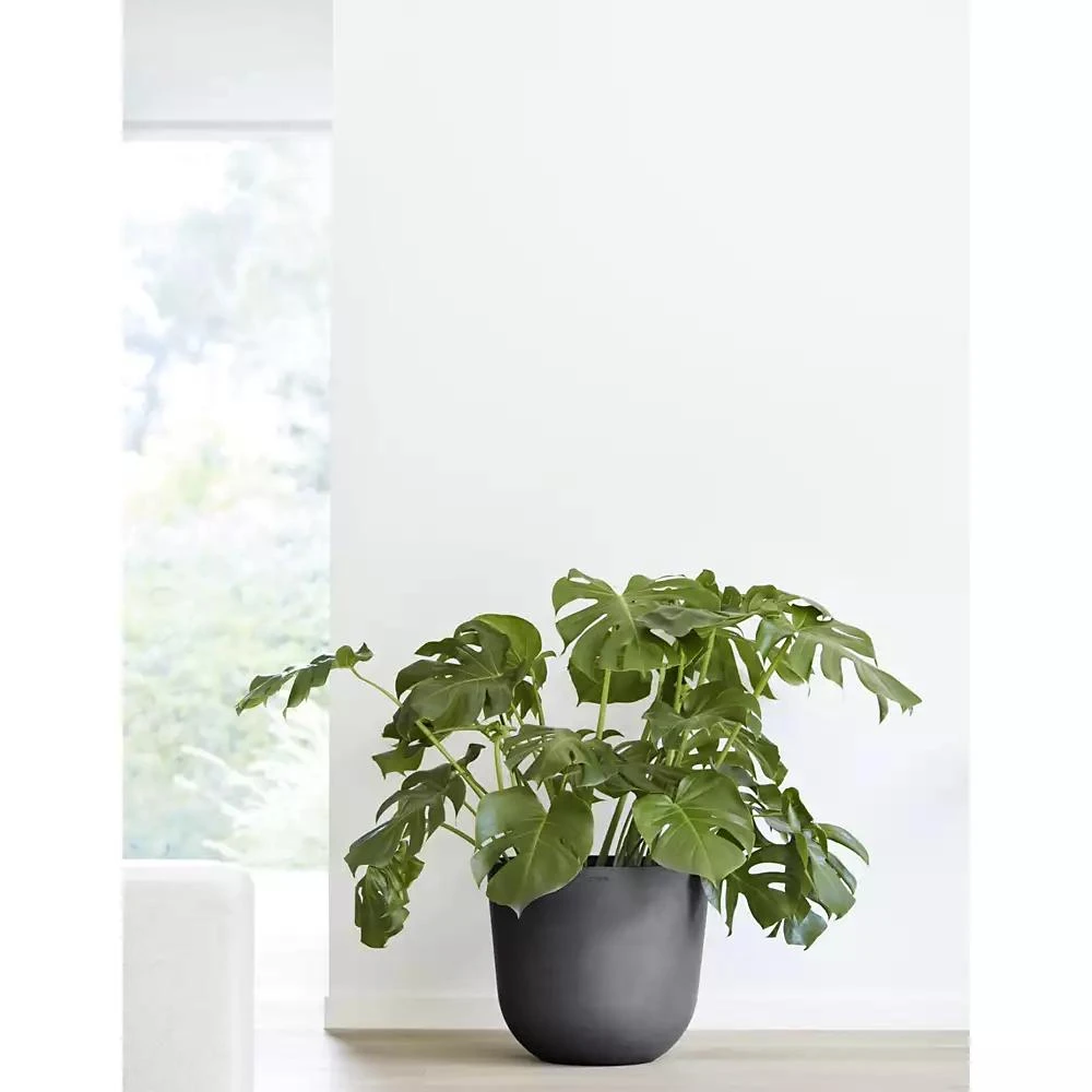 商品ECOPOTS|Oslo Durable Indoor and Outdoor Planter, 17.75in,价格¥457,第3张图片详细描述