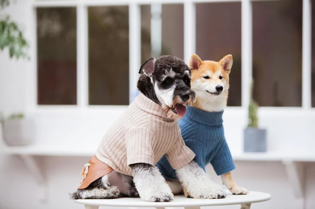 商品Touchdog|Modress Fashion Dog Sweater and Dress,价格¥267,第4张图片详细描述