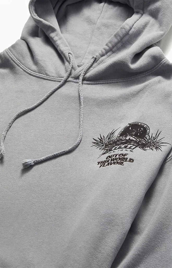 Cacti Oasis Hoodie 商品