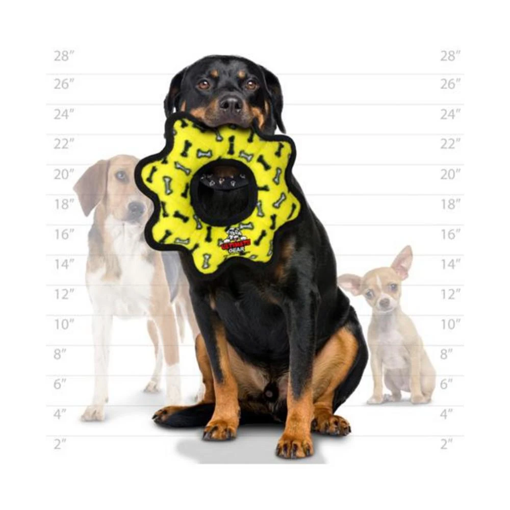 商品Tuffy|Ultimate Gear Ring Yellow Bone, 2-Pack Dog Toys,价格¥184,第3张图片详细描述